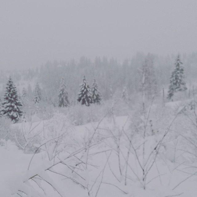 Zacharovany Karpaty 슬랍스크 외부 사진